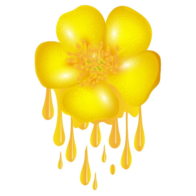 bright yellow buttercup with dripping effect