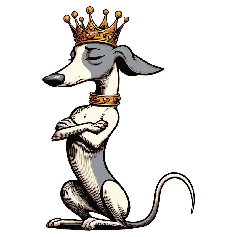 Whippet Greyhound Whippets Propriétaire de lévrier