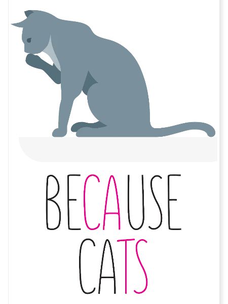 Weil Cats