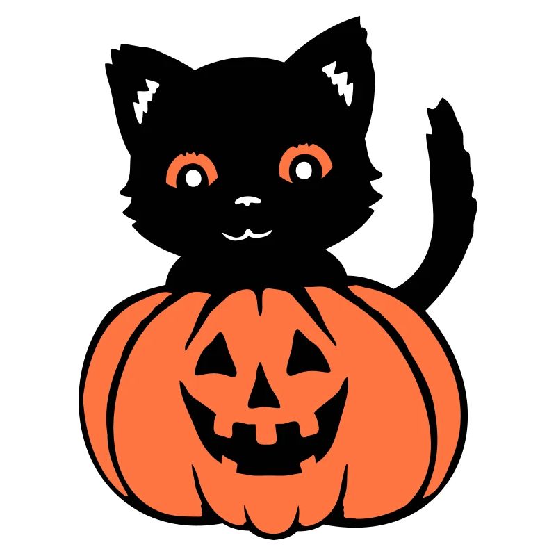 Halloween Kat Sort Græskar Efterår Uhyggelig Uhyggelig