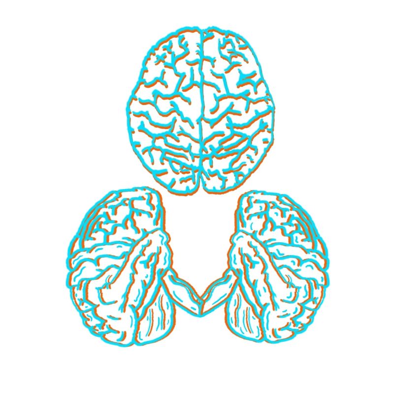Brain