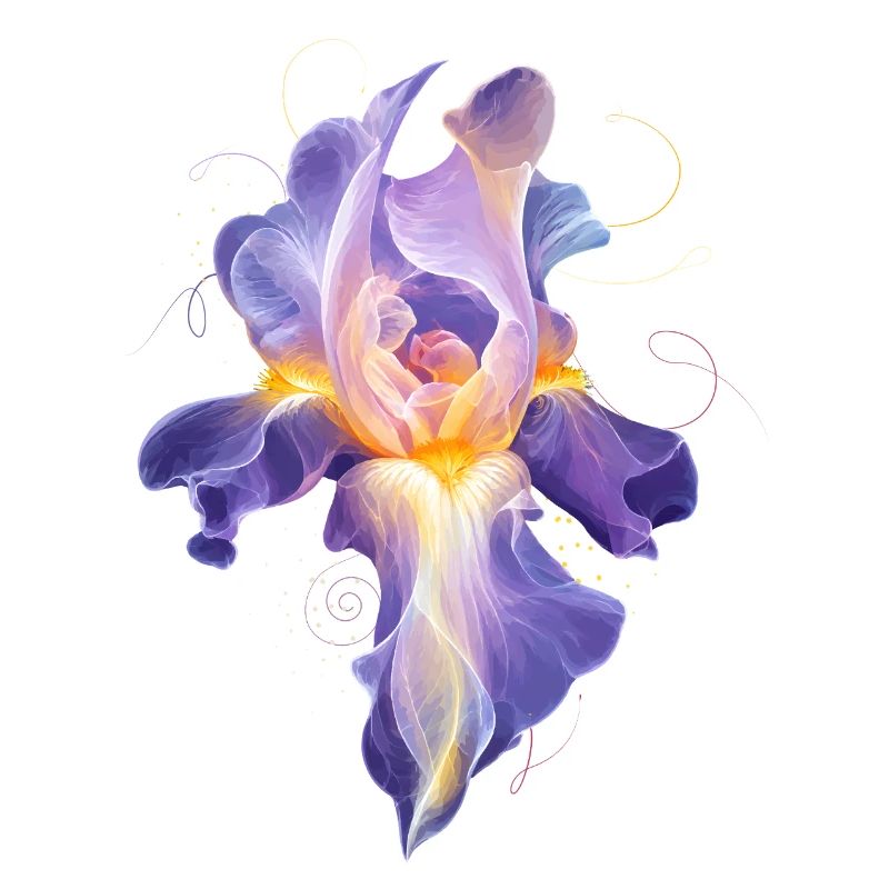 Motif floral abstrait de la fleur d’iris lumineuse