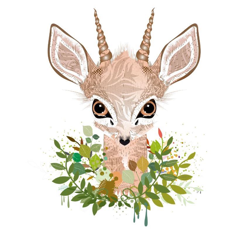 Dwarf antelope Dikdik with big eyes