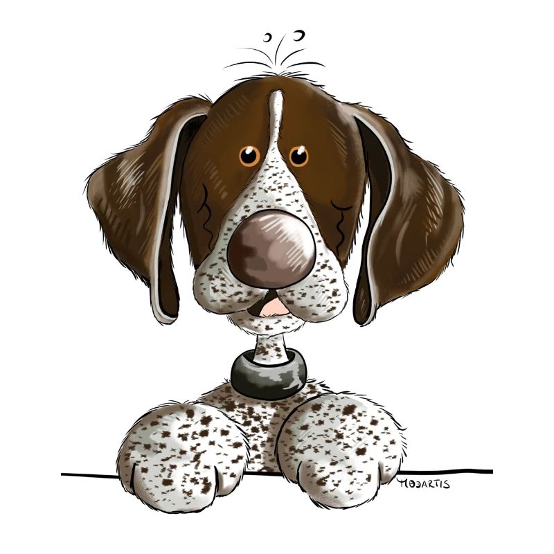 German Shorthaired Pointer