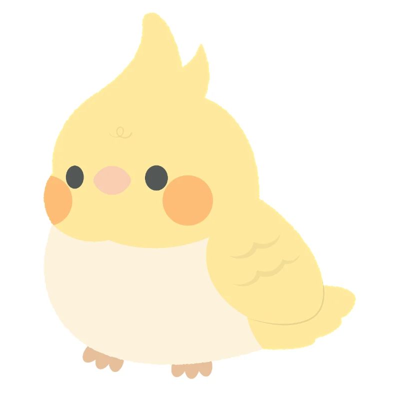 calopsitte