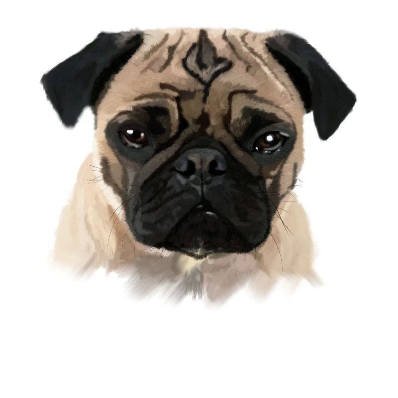 Mops