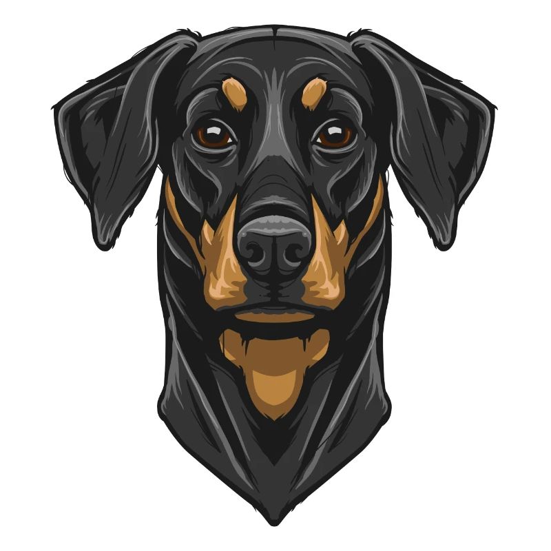 Dobermann