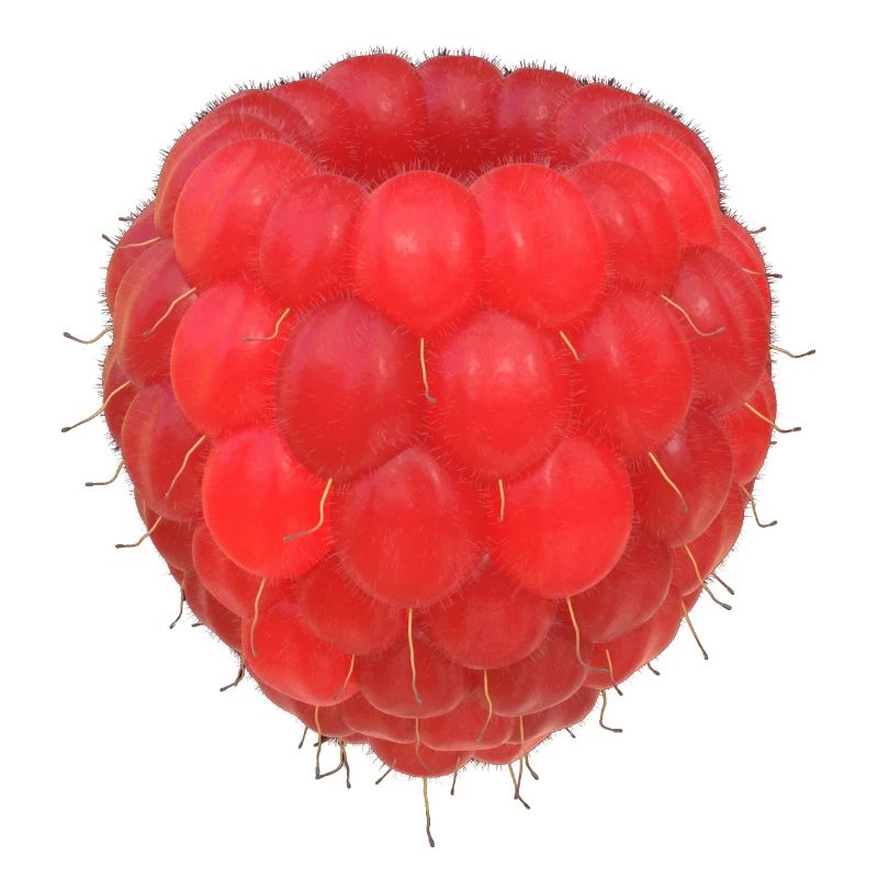 Modèle de grappe de framboises