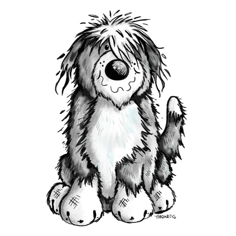 Cute Bearded Collie