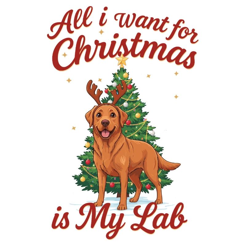 Noël avec mon Labrador