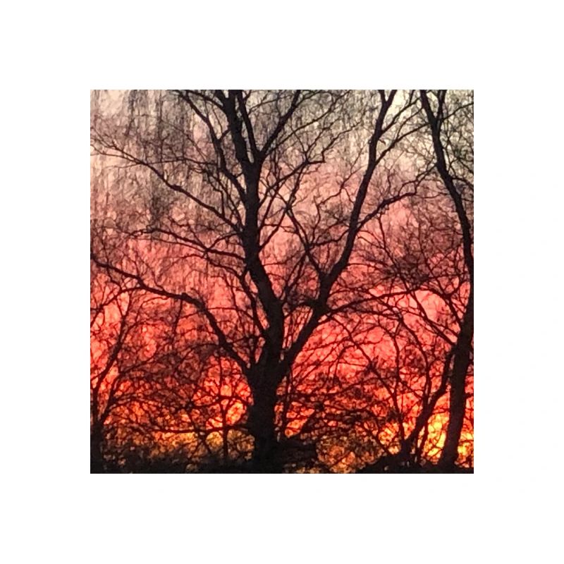 Abendrot