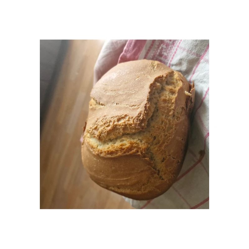 Golden crust rustic bread