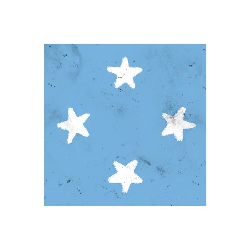 Drapeau de la Micronésie