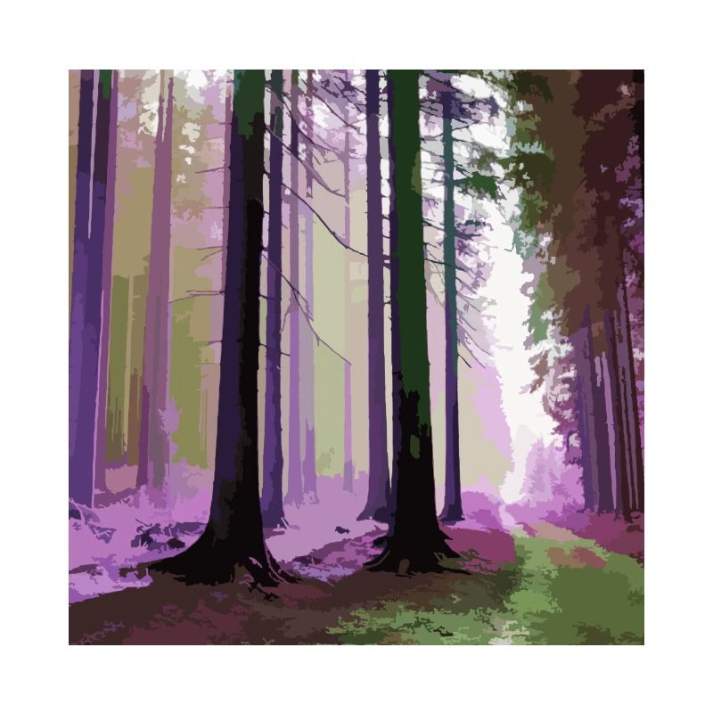 Haunted Cloud Forest