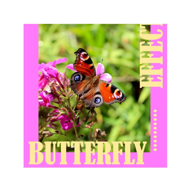 Conception de photos à effet papillon