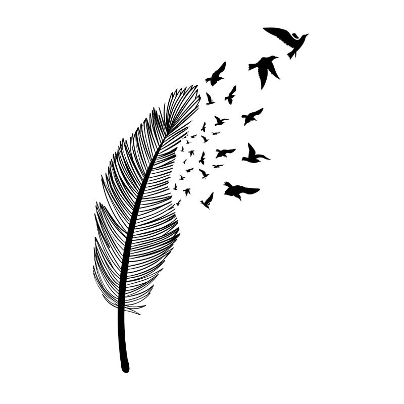 Feder und Vogel