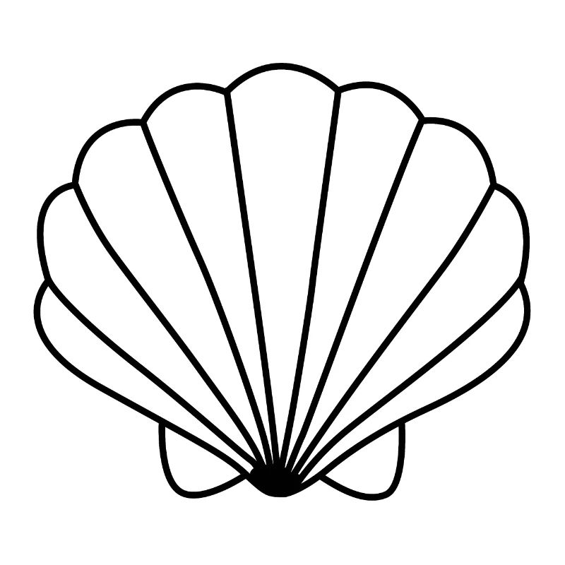 shell