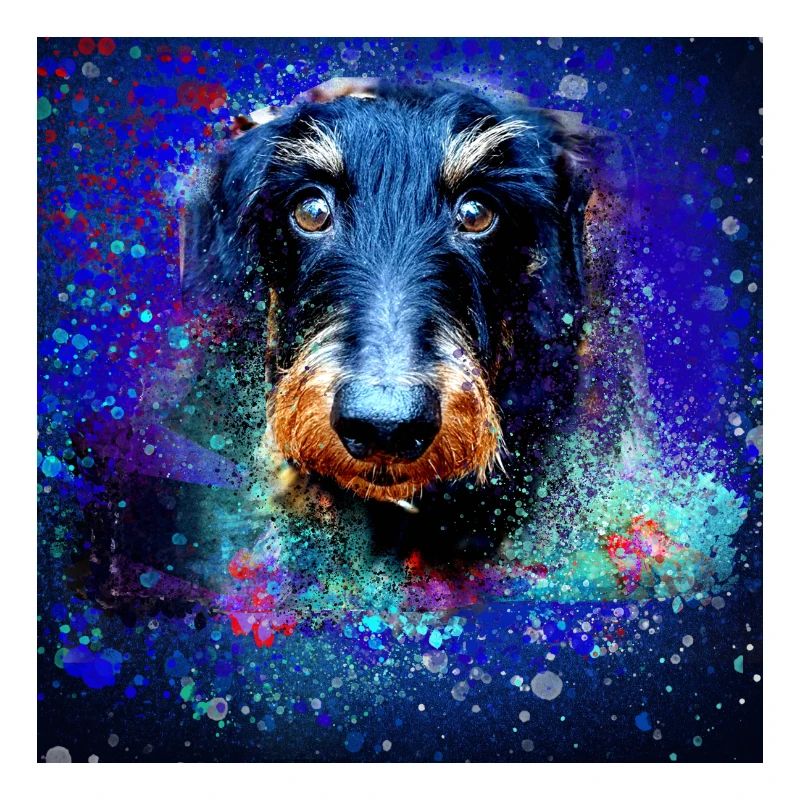 Dackel, Hund, Malerei, Graffiti,bunt