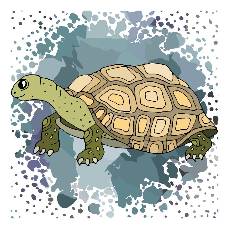 Turtle