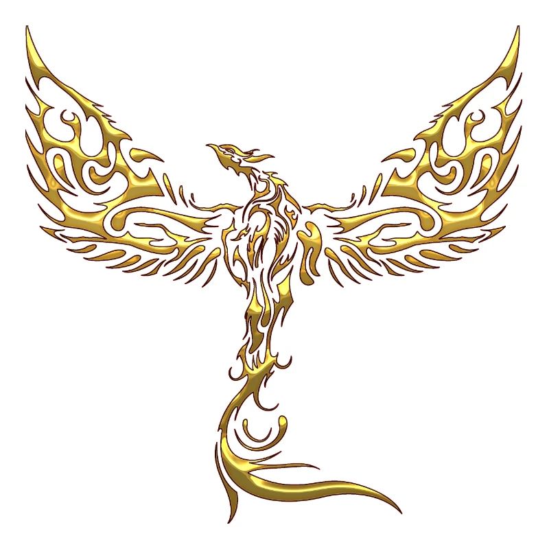 Eagles-Eagles-Eagles-Eagles-Bird-Bird