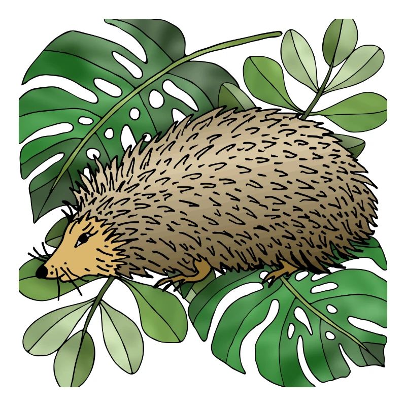 Igel