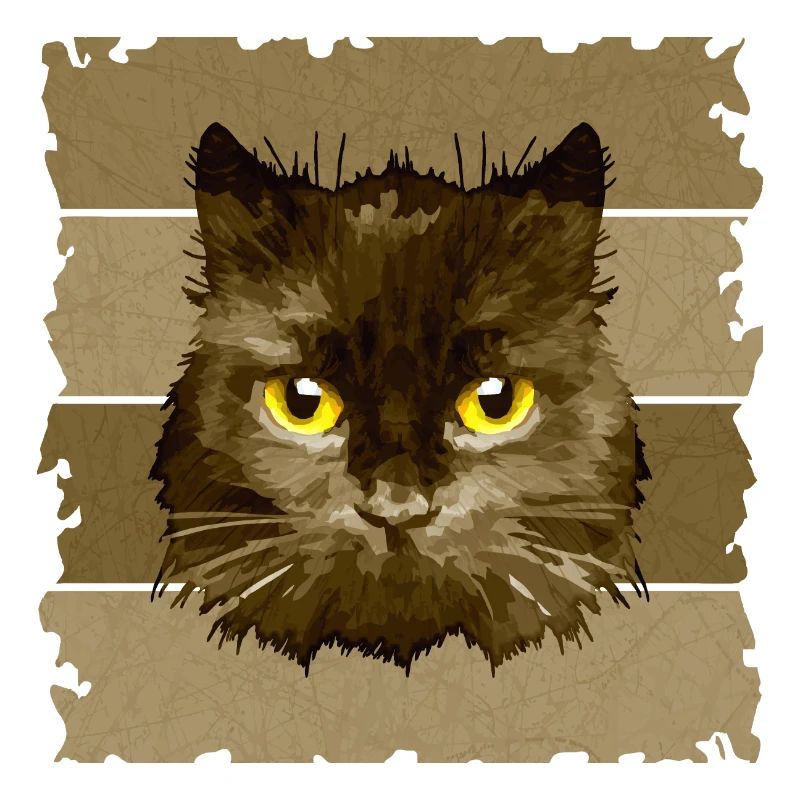 Katze
