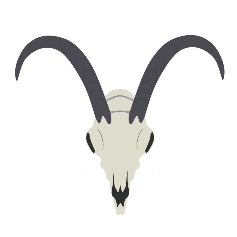 Corsican goat skull