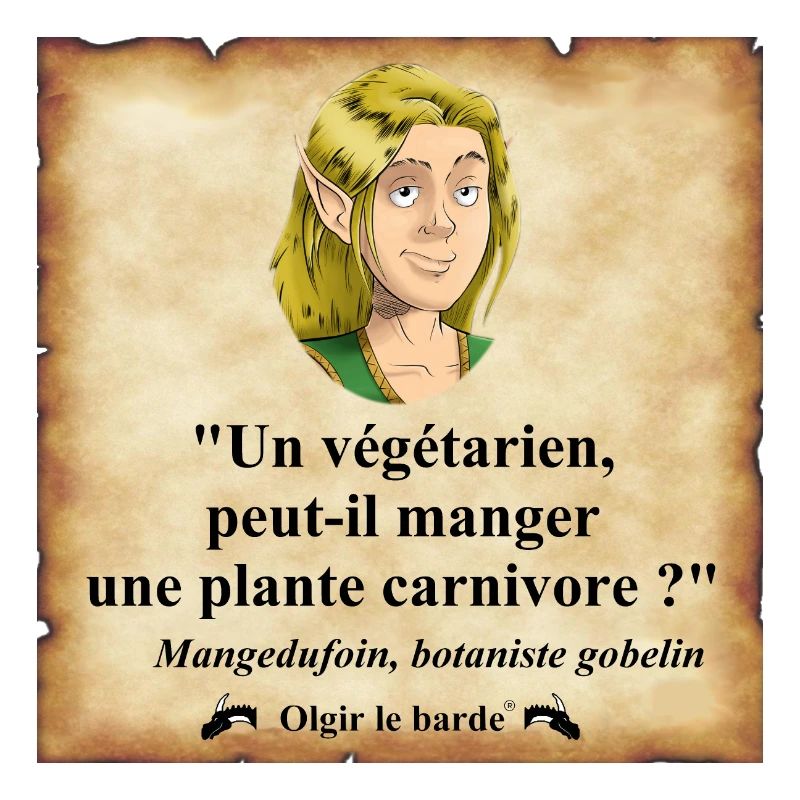 elfe végétarien