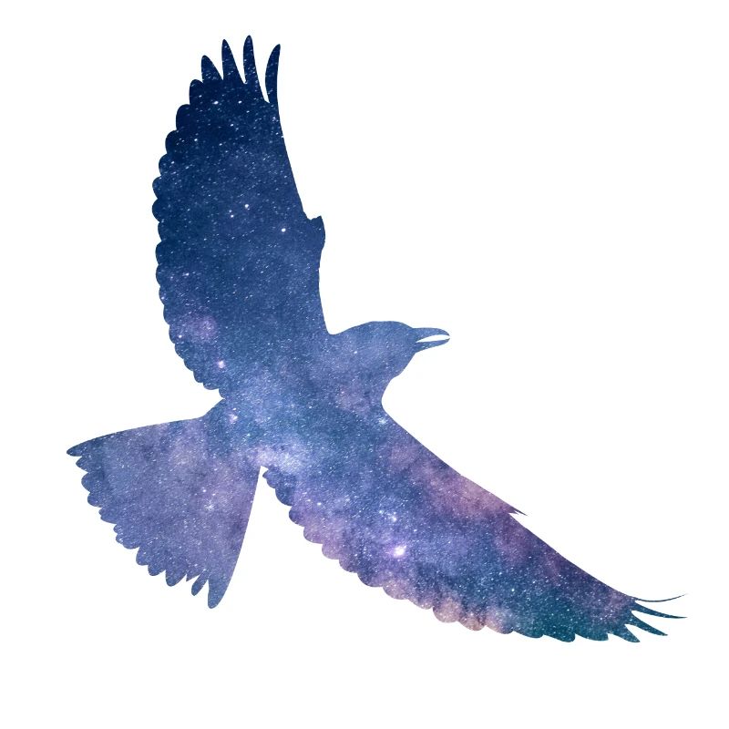 Oiseau de l’espace