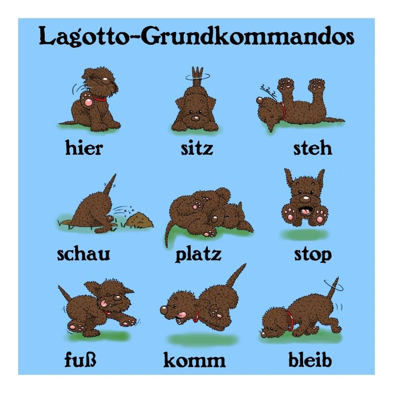 Commands3 3