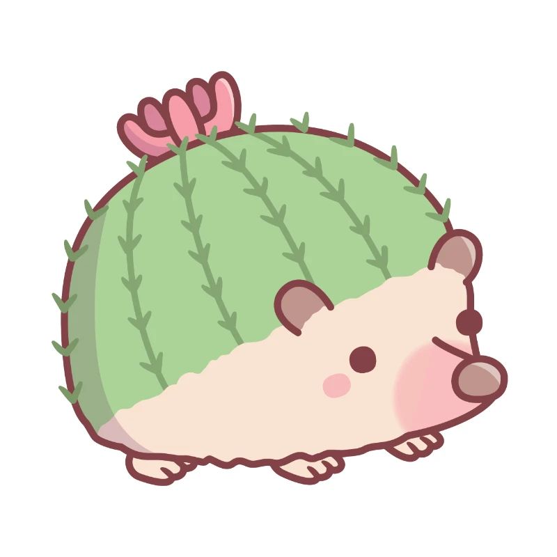 Mignon Cactus Hérisson Drôle