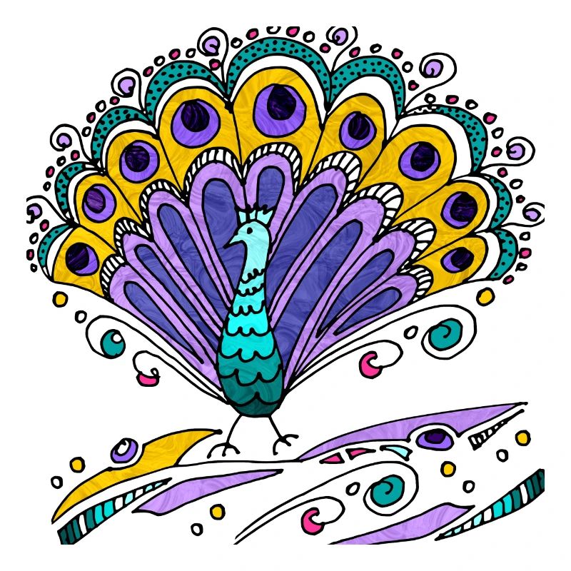 Peacock bird