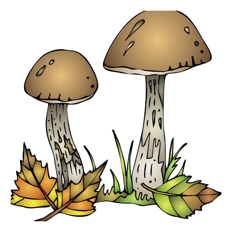 Mycètes