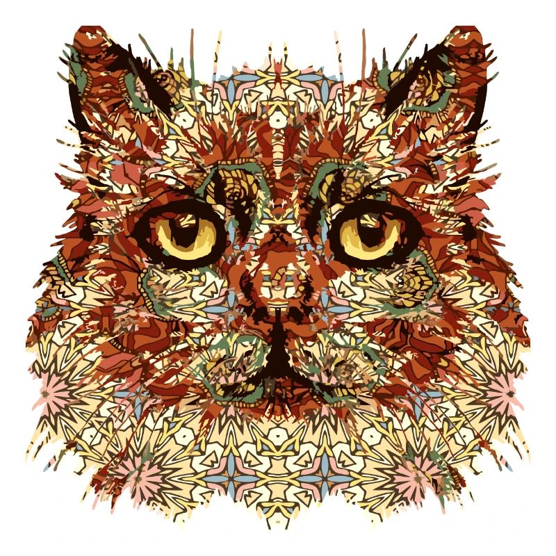 Chat