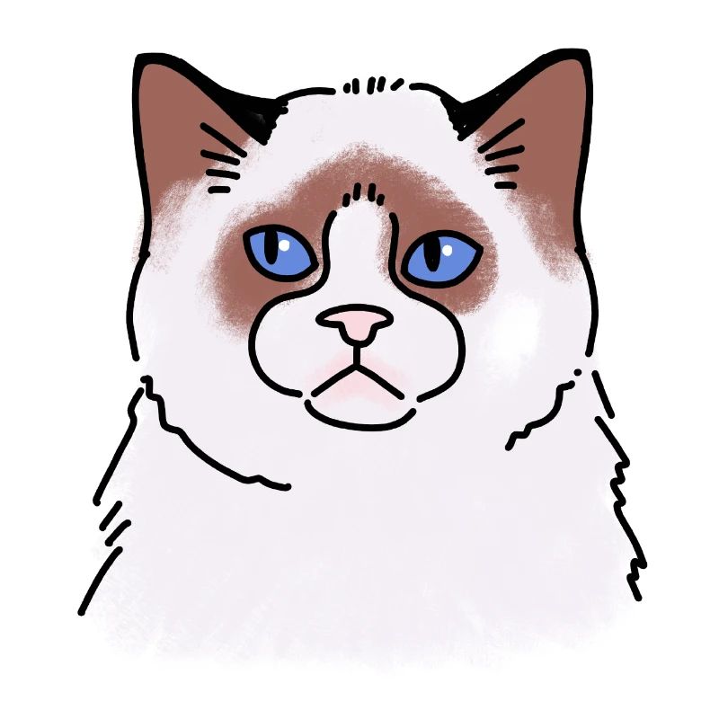 Poupée de chiffon Visage de chat malheureux