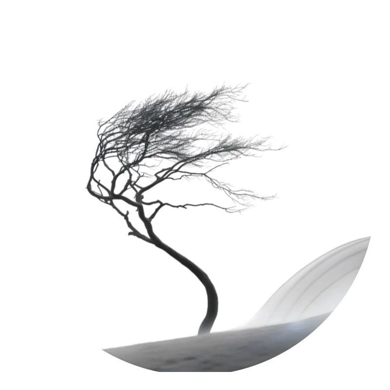 Ein kleiner Baum im grossen Sturm