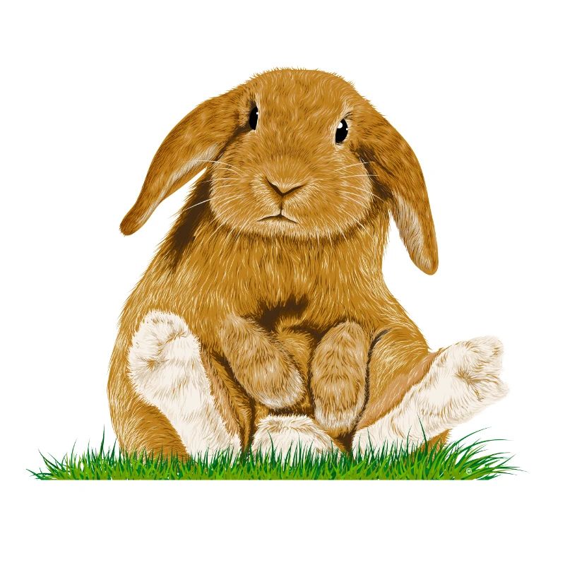 Lapin de Pâques