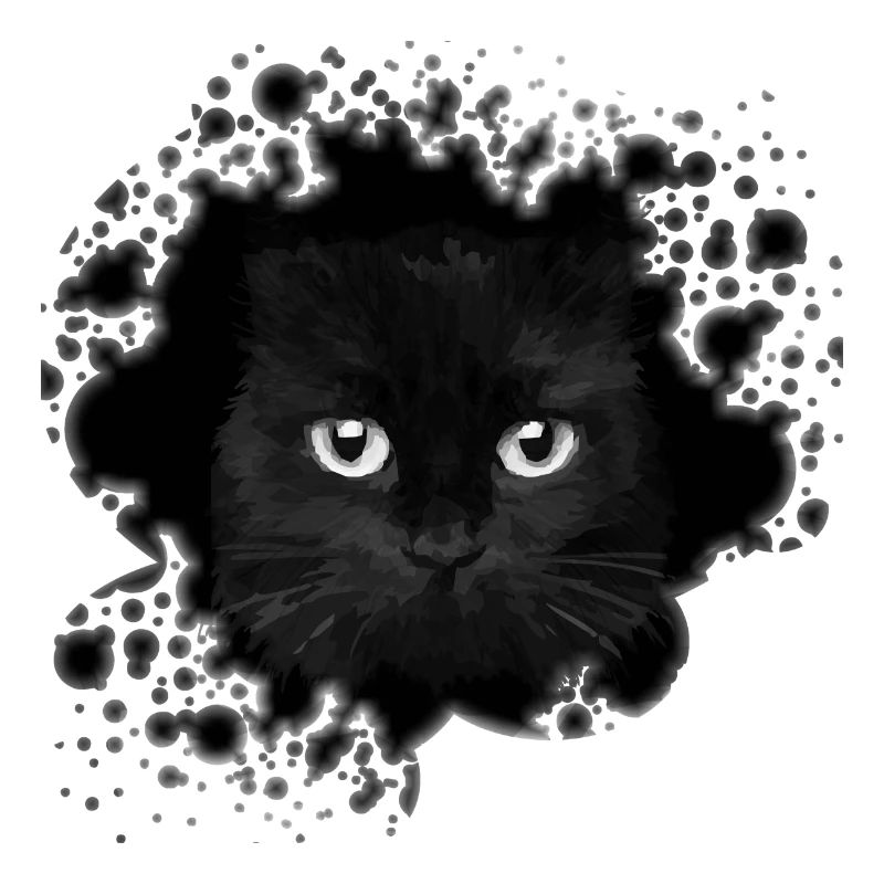 Katze