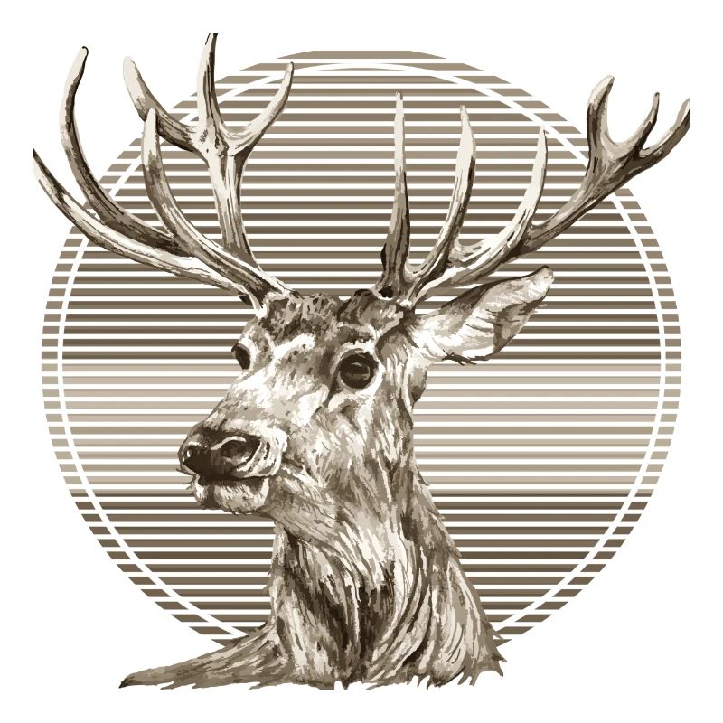Cerf