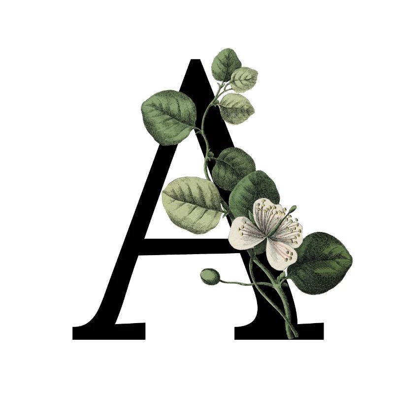 Letter A Green Botany