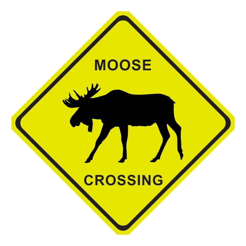 MOOSE CROSSING
