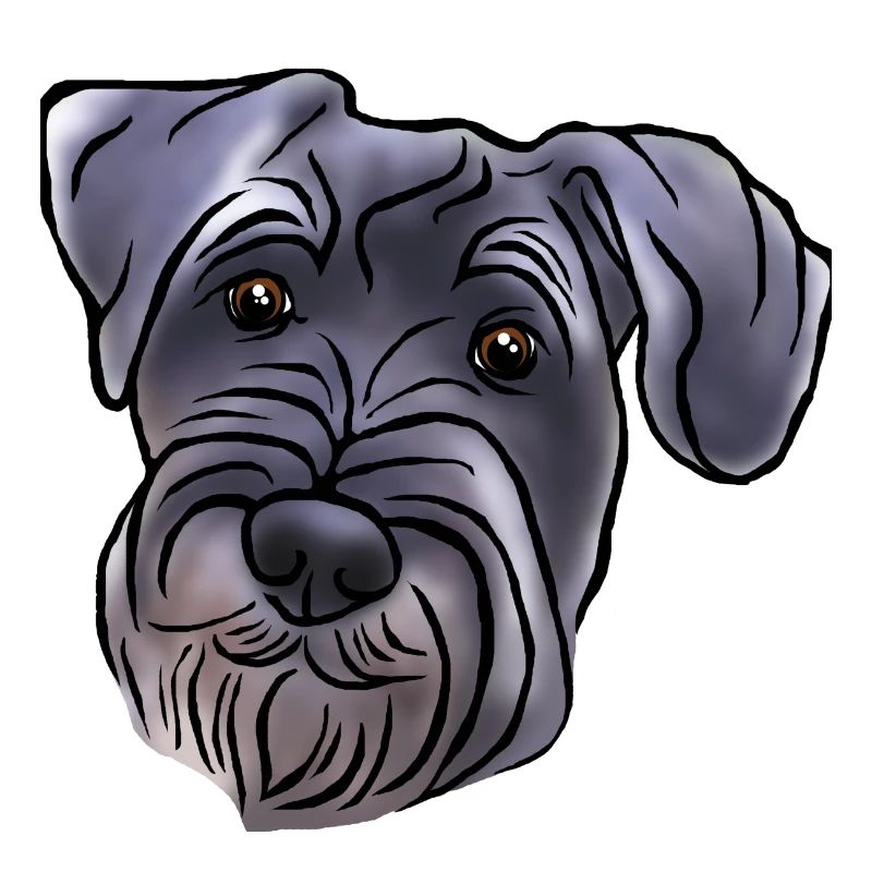 Medium schnauzer head in comic style