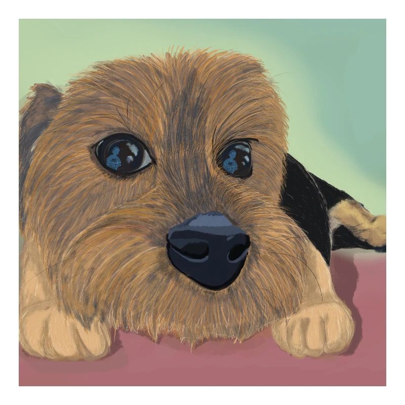 Hundeaugen oder Liebesreflex