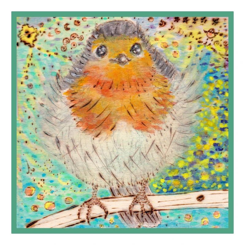 Rotkehlchen /Robin