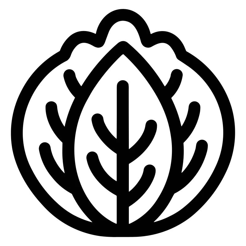 cabbage