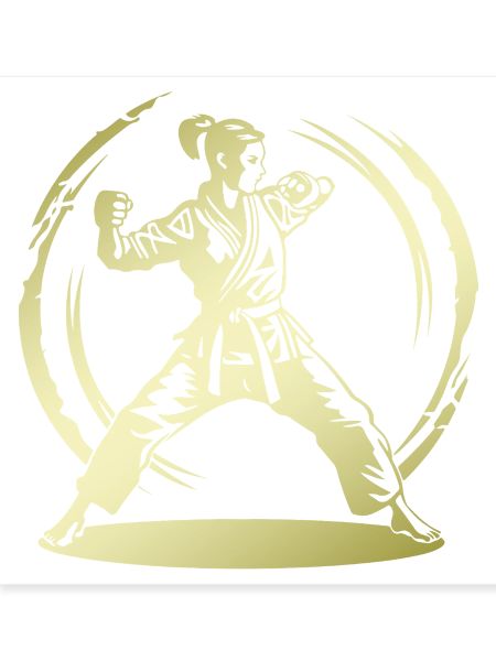 Karate Silhouette Fighter
