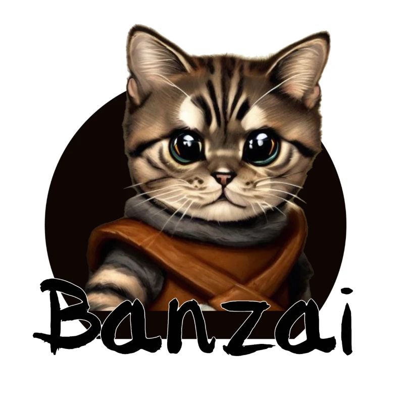 Aventure spatiale Banzai Cat