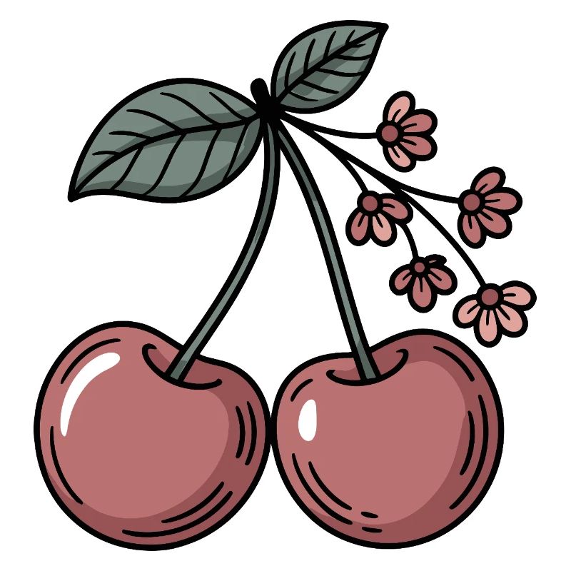 Cherry graphic sweet cherry blossoms