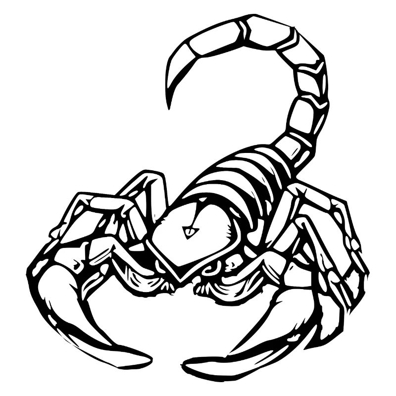 Skorpion Sternzeichen T-shirt Geschenk November