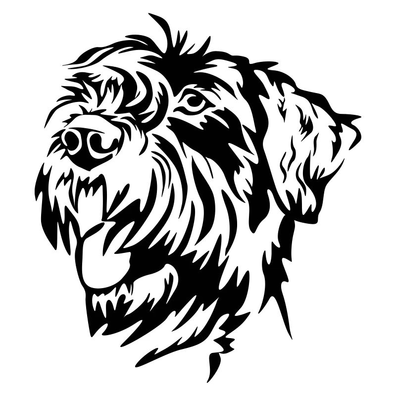 Tête de schnauzer géant